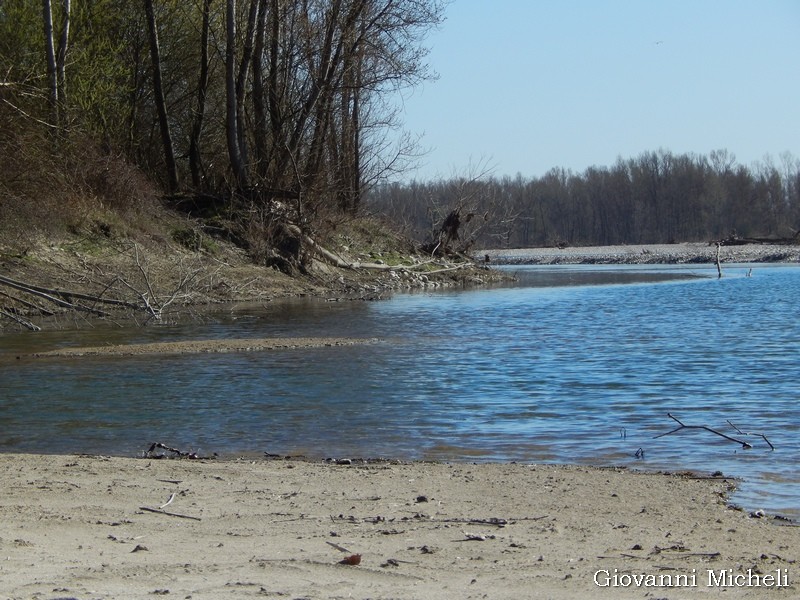 Parco del Ticino :  ambientazioni e farfalle